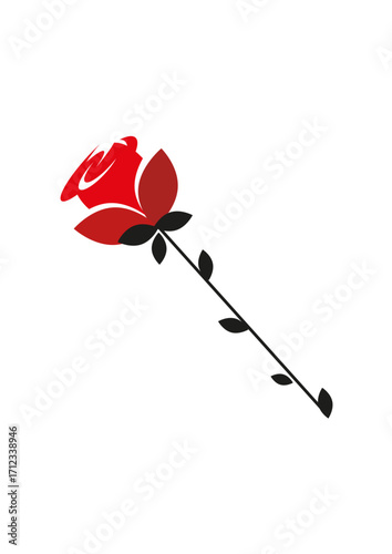 Beautiful long-stemmed red rose