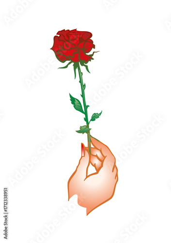 Hand holding a beautiful long-stemmed red rose