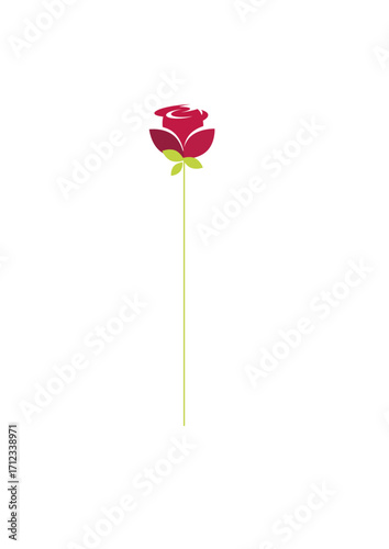 Beautiful long-stemmed red rose