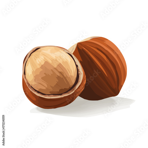 Hazelnut, 2D flat vector illustration in icon style, isolated on a white background