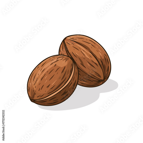 Minimal 2D flat vector of a Nutmeg, icon-style illustration on a white background