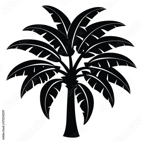 palm tree vector