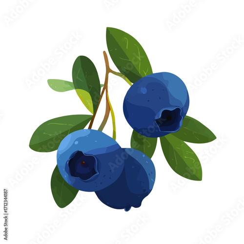 Bilberry, 2D flat vector illustration in icon style, isolated on a white background
