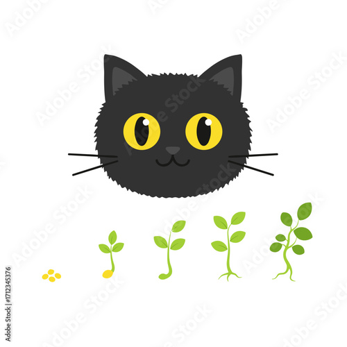  Flat icon of black fluffy cat showing plant growth stages (seed prout leaf) on a simple strip, science for children, isolated