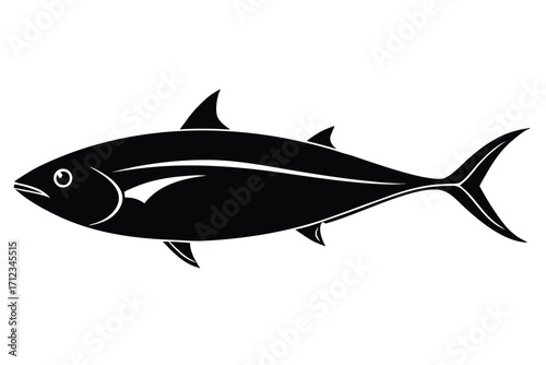 fish isolated on white background