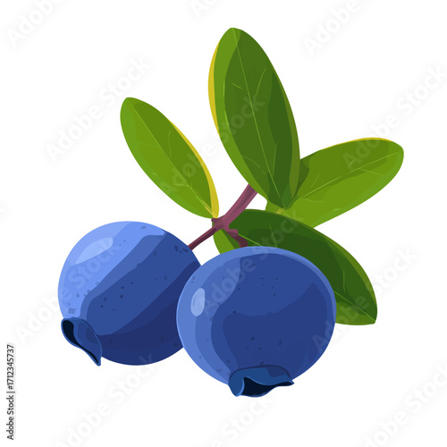 Flat 2D Bilberry vector illustration, icon graphic on white background