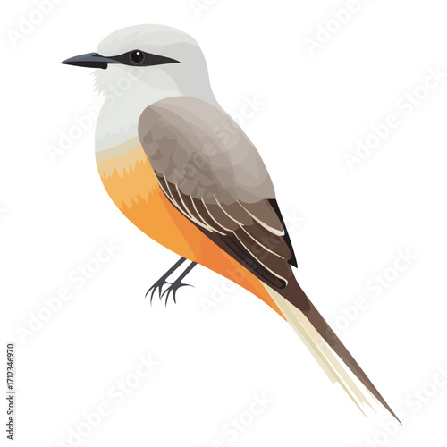 Scissor-tailed Flycatcher, 2D flat vector illustration in icon style, isolated on a white background