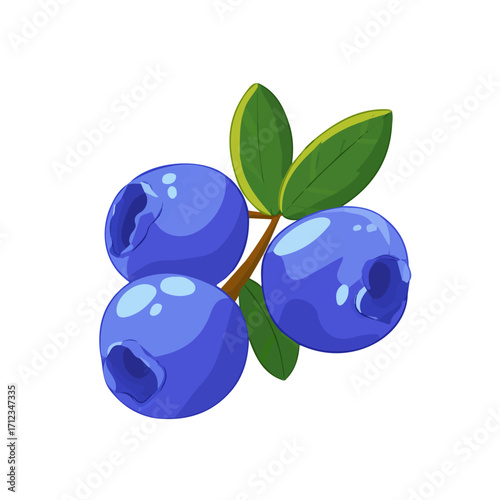 Bilberry, 2D flat vector illustration in icon style, isolated on a white background