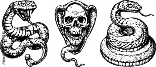 Vintage snake and skull vector illustration in black and white. Detailed graphic set showcasing a coiled cobra with a haunting aesthetic.