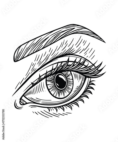 Mysterious Eye Gazing Through Lines A Hands Drawing Vector And Illustration