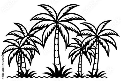 palm tree silhouette
