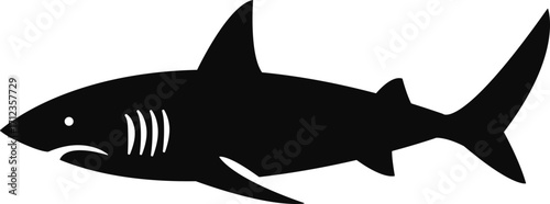 vector illustration of a shark