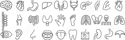 Human Anatomy and Body Organ Line Icon Set, Medical and Healthcare Vector Symbols, thin linear illustration