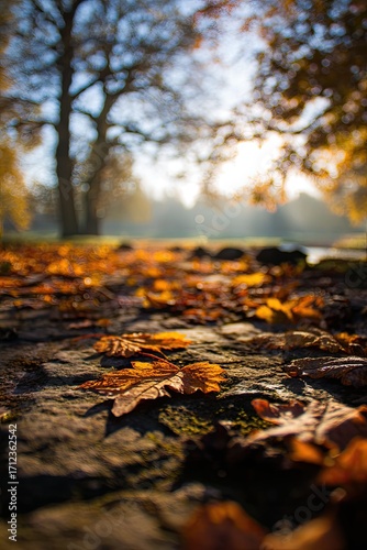 A low-angle close-up of a stone path strewn with autumn leaves, bathed in the warm glow of morning sunlight, with trees softly blurred in the background