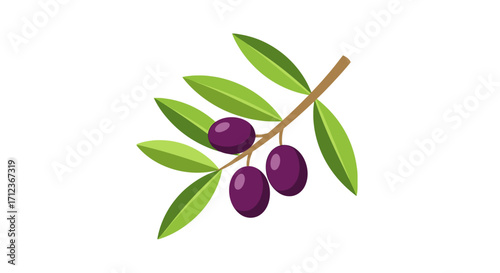Branch of olives with three ripe dark purple olives.