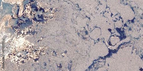 Gritty natural texture of a rocky seabed with sand pebbles and organic formations.
