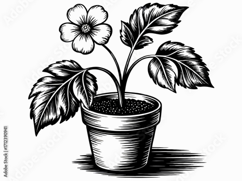 Elegant Black and White Flower in Pot Botanical Illustration for Creative Projects and Designs Graphic Artwork