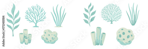Underwater plant and coral illustrations showcasing marine life in soothing colors and natural forms