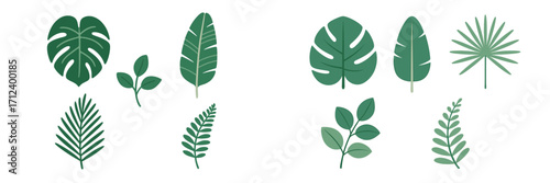 Various green leaves arranged in diverse shapes and sizes for design or decor purposes