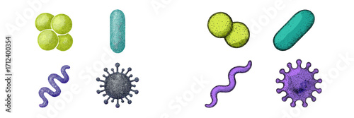 Colorful illustrations of various microorganisms including bacteria, viruses, and other cells in a scientific style