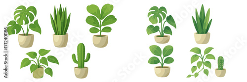 Various styles of green plants in modern pots arranged in different patterns for home or office decoration