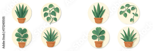 Various potted green houseplants in terracotta pots on circular backgrounds with soft shadows and minimalist design