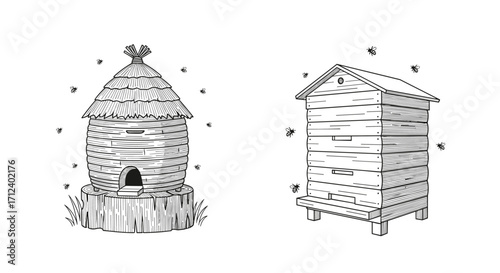 Two traditional beehives and flying bees illustration.
