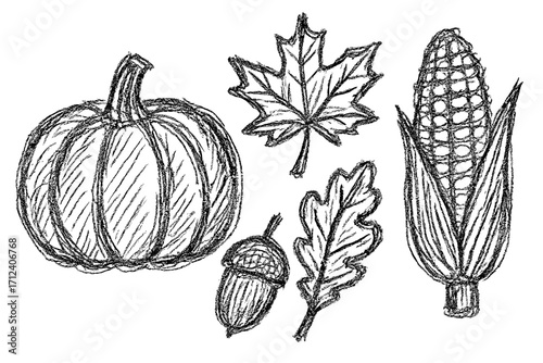 Pumpkin with autumn leaves and corn hand drawn in black and white using pencil and crayon for Halloween harvest illustration