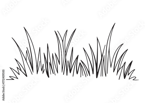 Grass line art Vector