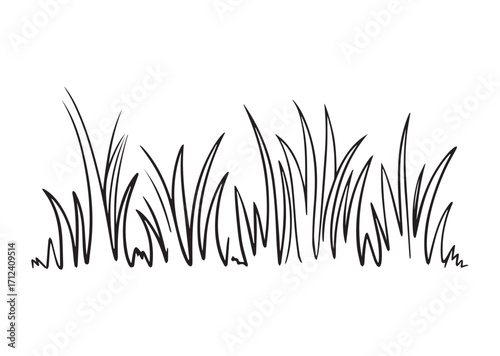 Grass line art Vector