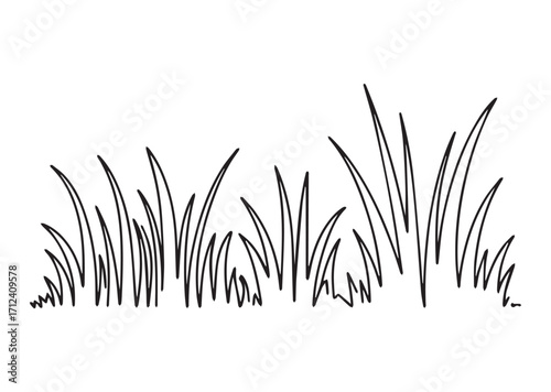 Grass line art Vector