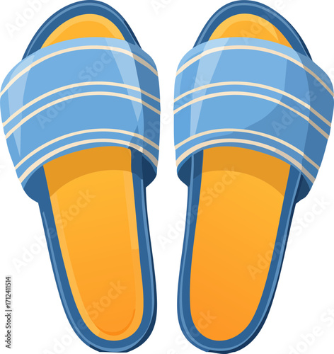 flip flops vector illustration