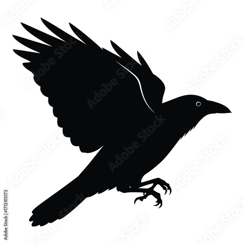 Silhouette of a black crow in mid-flight with wings spread wide silhouette