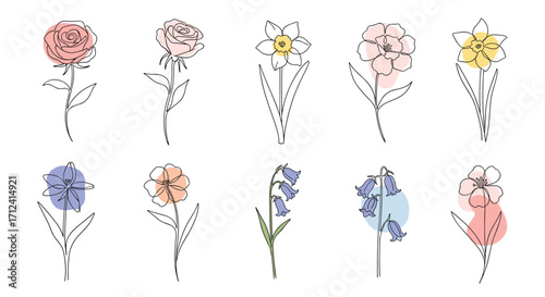 A collection of simple abstract watercolor floral illustrations with delicate line art.