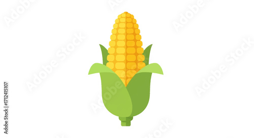 Vibrant Corn on the Cob Illustration with Green Husk.