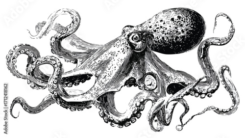 Detailed Hand Drawn Cartoon Octopus Character Illustration