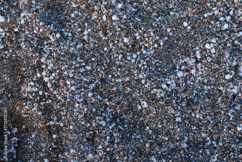Obraz na plátně Close ground view of wet beach granules with a diagonal band marking the compacted swash zone