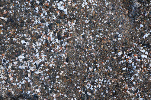 Obraz na płótnie Close ground view of wet beach granules with a diagonal band marking the compacted swash zone
