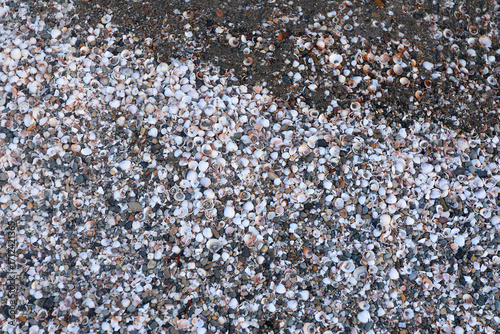 Принти на полотні Close ground view of wet beach granules with a diagonal band marking the compacted swash zone