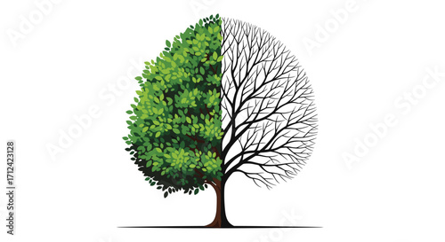 A visual representation of the cycle of life and seasons impacting nature.