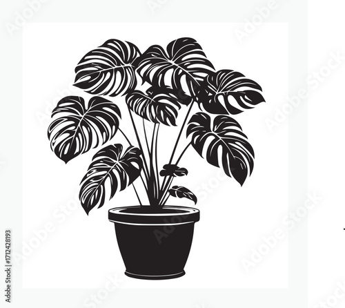 vector of a pot with a lush monstera
