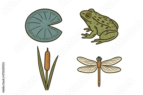 Collection of pond life elements including a green frog, a floating lily pad, a tall cattail plant, and a flying dragonfly in a natural habitat
