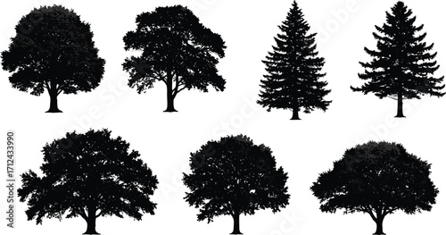 Collection of tree silhouettes illustration, black and white forest design, natural plant shapes, landscape elements, woodland vector art, environmental background