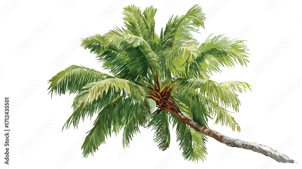 Fototapeta premium Isolated Palm Tree on White Background Vector Illustration for Creative Design Projects