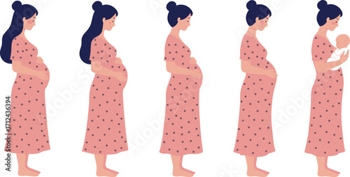 Stages of pregnancy and motherhood showing woman’s body changes from early pregnancy to holding newborn baby in flat vector illustration design