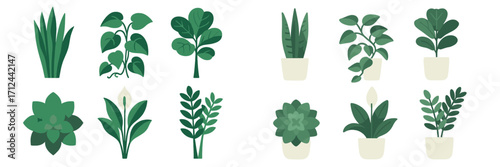 Botanical collection of green foliage plants and decorative potted flora for home and office interior design elements