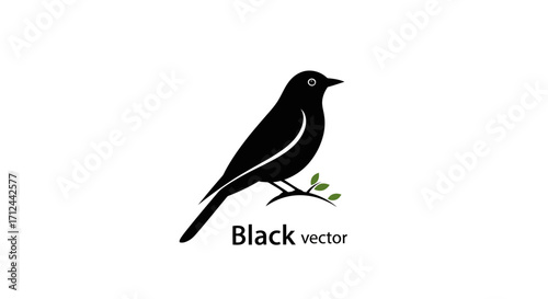 Silhouette of a black bird perched on a small branch, simple vector graphic design.