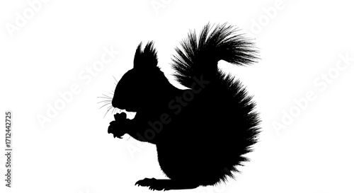 Silhouette of a squirrel, bushy tail, eating a nut, profile view.