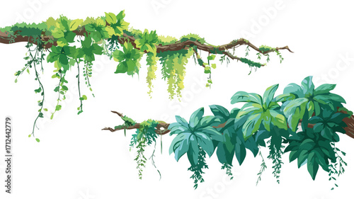 Vibrant Cartoon Tropical Jungle Liana Branches