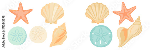 Watercolor style collection of various seashells, starfish, and sand dollars on a clean white background